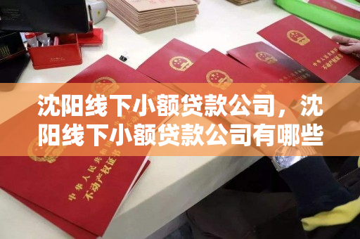 沈阳线下小额贷款公司,沈阳线下小额贷款公司有哪些 沈阳线下小额贷款公司,沈阳线下小额贷款公司有哪些