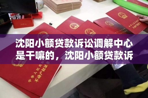沈阳小额贷款诉讼调解中心是干嘛的，沈阳小额贷款诉讼调解中心是干嘛的啊