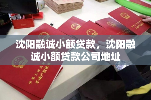 沈阳融诚小额贷款,沈阳融诚小额贷款公司地址 沈阳融诚小额贷款,沈阳融诚小额贷款公司地址