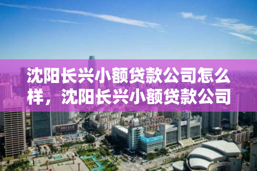 沈阳长兴小额贷款公司怎么样，沈阳长兴小额贷款公司怎么样啊