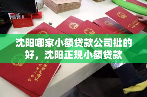 沈阳哪家小额贷款公司批的好，沈阳正规小额贷款