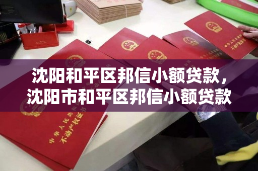 沈阳和平区邦信小额贷款,沈阳市和平区邦信小额贷款有限公司 沈阳和平区邦信小额贷款,沈阳市和平区邦信小额贷款有限公司