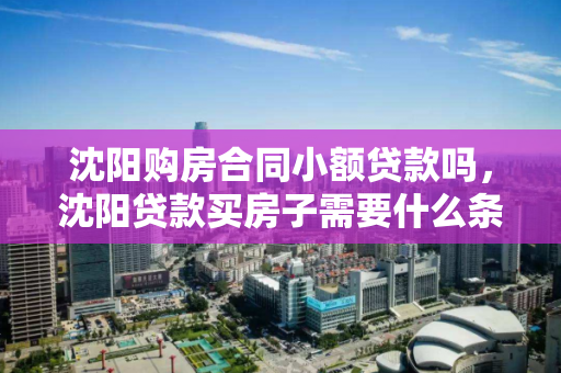 沈阳购房合同小额贷款吗，沈阳贷款买房子需要什么条件