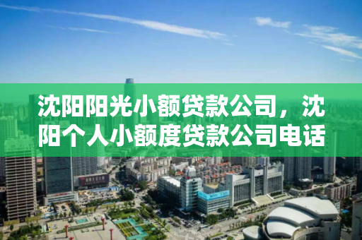 沈阳阳光小额贷款公司,沈阳个人小额度贷款公司电话 沈阳阳光小额贷款公司,沈阳个人小额度贷款公司电话