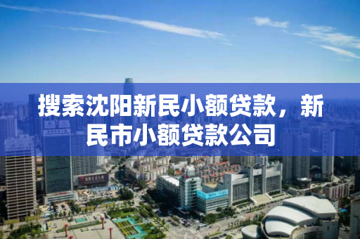 搜索沈阳新民小额贷款，新民市小额贷款公司