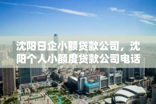 沈阳日企小额贷款公司,沈阳个人小额度贷款公司电话 沈阳日企小额贷款公司,沈阳个人小额度贷款公司电话