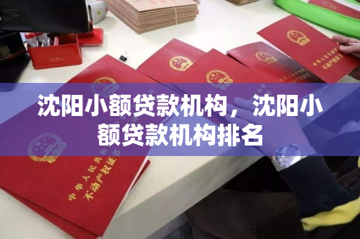 沈阳小额贷款机构,沈阳小额贷款机构排名 沈阳小额贷款机构,沈阳小额贷款机构排名