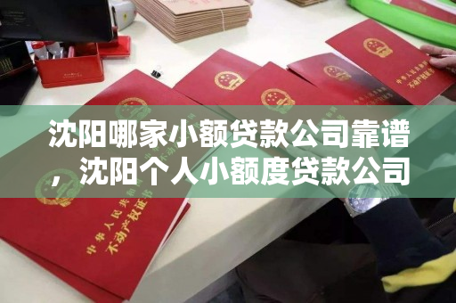 沈阳哪家小额贷款公司靠谱，沈阳个人小额度贷款公司电话