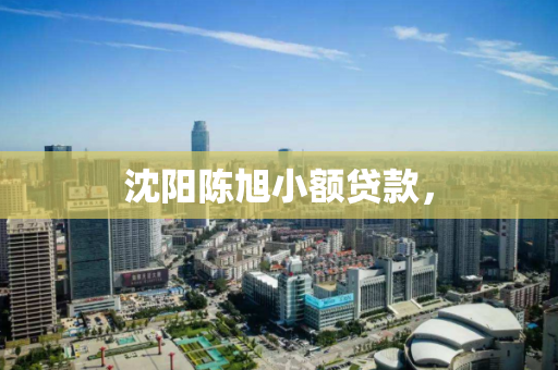 沈阳陈旭小额贷款，