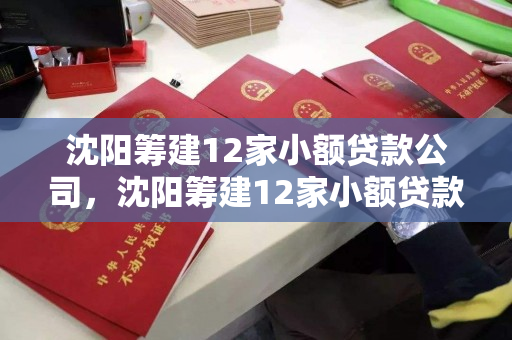 沈阳筹建12家小额贷款公司,沈阳筹建12家小额贷款公司名单 沈阳筹建12家小额贷款公司,沈阳筹建12家小额贷款公司名单