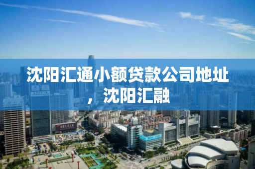 沈阳汇通小额贷款公司地址，沈阳汇融