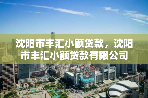 沈阳市丰汇小额贷款，沈阳市丰汇小额贷款有限公司