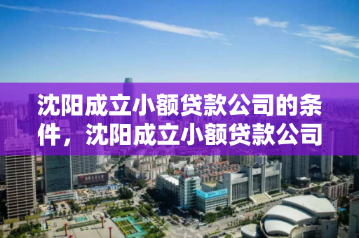 沈阳成立小额贷款公司的条件，沈阳成立小额贷款公司的条件有哪些