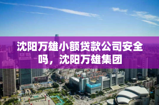 沈阳万雄小额贷款公司安全吗,沈阳万雄集团 沈阳万雄小额贷款公司安全吗,沈阳万雄集团
