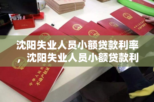 沈阳失业人员小额贷款利率,沈阳失业人员小额贷款利率调整 沈阳失业人员小额贷款利率,沈阳失业人员小额贷款利率调整