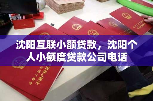 沈阳互联小额贷款，沈阳个人小额度贷款公司电话