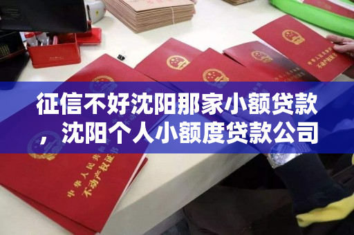 征信不好沈阳那家小额贷款，沈阳个人小额度贷款公司电话