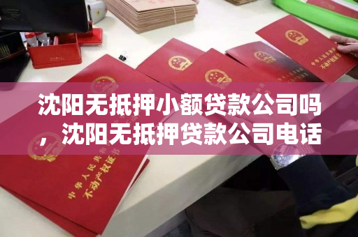 沈阳无抵押小额贷款公司吗，沈阳无抵押贷款公司电话