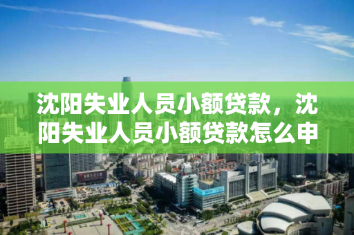 沈阳失业人员小额贷款，沈阳失业人员小额贷款怎么申请