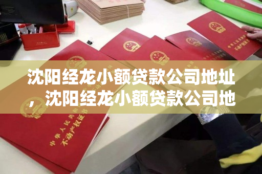 沈阳经龙小额贷款公司地址，沈阳经龙小额贷款公司地址查询