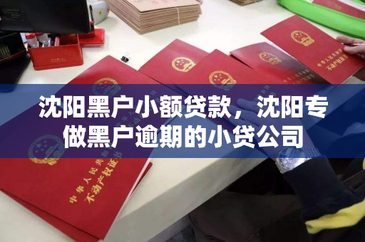 沈阳黑户小额贷款，沈阳专做黑户逾期的小贷公司