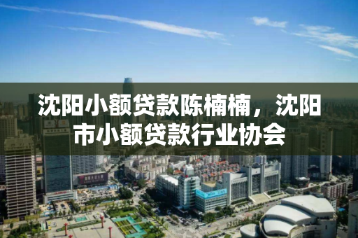 沈阳小额贷款陈楠楠，沈阳市小额贷款行业协会