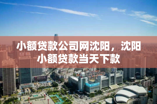 小额贷款公司网沈阳，沈阳小额贷款当天下款