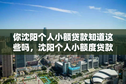 你沈阳个人小额贷款知道这些吗，沈阳个人小额度贷款公司电话
