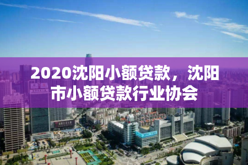 2020沈阳小额贷款,沈阳市小额贷款行业协会 2020沈阳小额贷款,沈阳市小额贷款行业协会