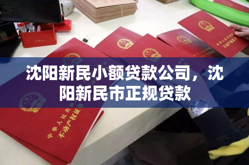 沈阳新民小额贷款公司，沈阳新民市正规贷款