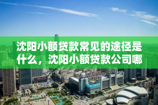 沈阳小额贷款常见的途径是什么,沈阳小额贷款公司哪里最可靠 沈阳小额贷款常见的途径是什么,沈阳小额贷款公司哪里最可靠