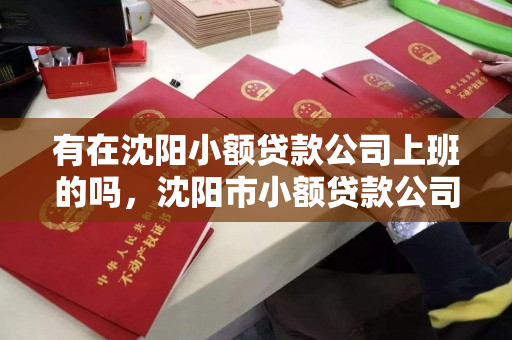 有在沈阳小额贷款公司上班的吗，沈阳市小额贷款公司