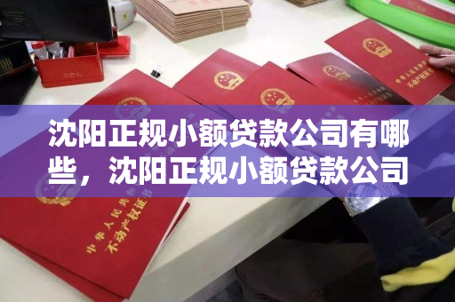 沈阳正规小额贷款公司有哪些，沈阳正规小额贷款公司有哪些公司