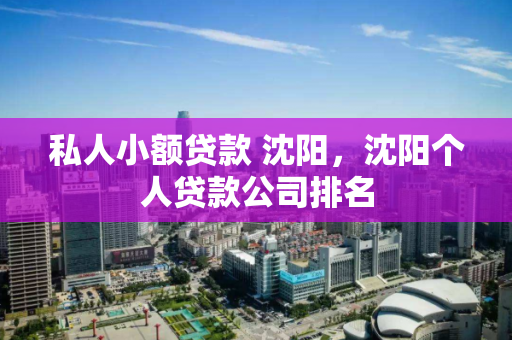 私人小额贷款 沈阳，沈阳个人贷款公司排名