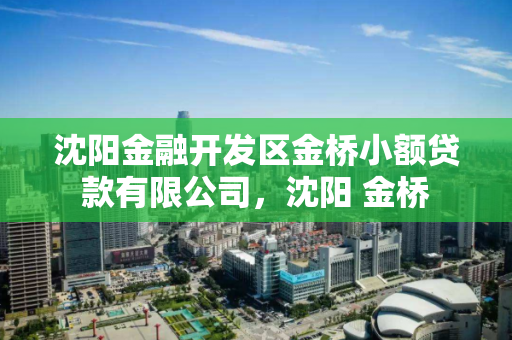 沈阳金融开发区金桥小额贷款有限公司，沈阳 金桥