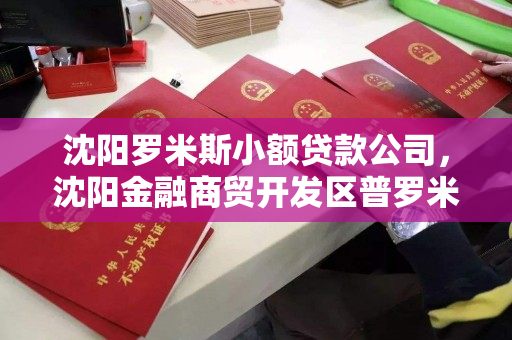 沈阳罗米斯小额贷款公司,沈阳金融商贸开发区普罗米斯小额贷款 沈阳罗米斯小额贷款公司,沈阳金融商贸开发区普罗米斯小额贷款