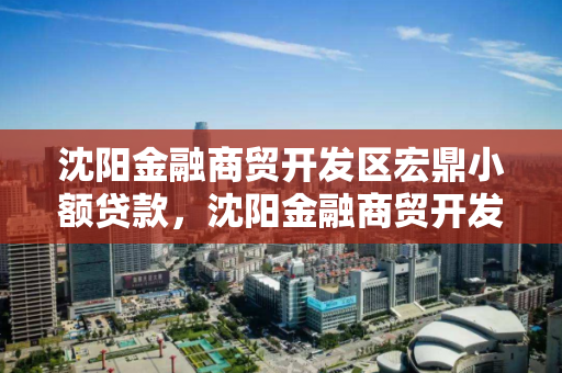 沈阳金融商贸开发区宏鼎小额贷款，沈阳金融商贸开发区宏顶小额贷款