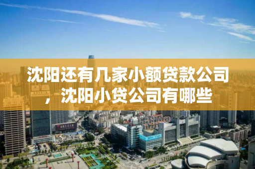 沈阳还有几家小额贷款公司,沈阳小贷公司有哪些 沈阳还有几家小额贷款公司,沈阳小贷公司有哪些
