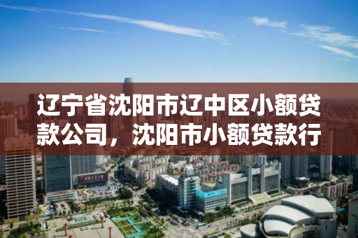 辽宁省沈阳市辽中区小额贷款公司，沈阳市小额贷款行业协会