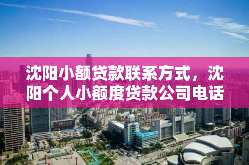 沈阳小额贷款联系方式,沈阳个人小额度贷款公司电话 沈阳小额贷款联系方式,沈阳个人小额度贷款公司电话