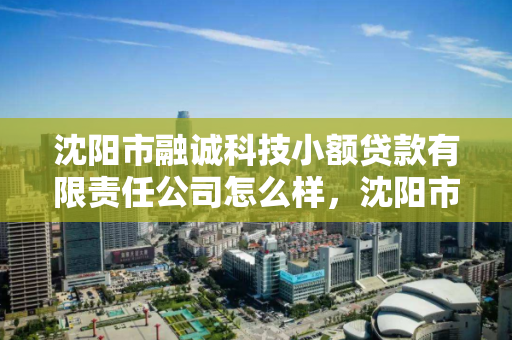 沈阳市融诚科技小额贷款有限责任公司怎么样，沈阳市融诚科技小额贷款有限责任公司怎么样