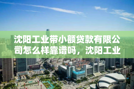 沈阳工业带小额贷款有限公司怎么样靠谱吗，沈阳工业产业园在哪里
