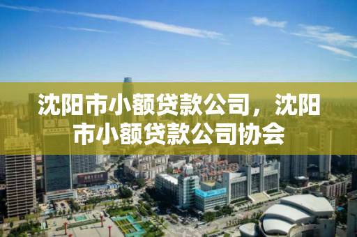 沈阳市小额贷款公司,沈阳市小额贷款公司协会 沈阳市小额贷款公司,沈阳市小额贷款公司协会