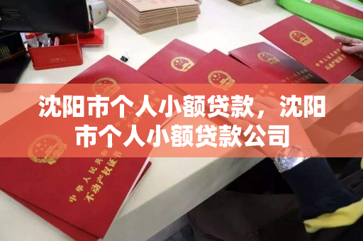 沈阳市个人小额贷款，沈阳市个人小额贷款公司