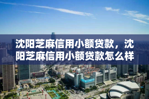 沈阳芝麻信用小额贷款，沈阳芝麻信用小额贷款怎么样