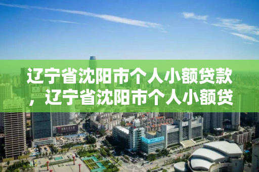 辽宁省沈阳市个人小额贷款，辽宁省沈阳市个人小额贷款管理办法