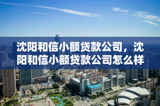 沈阳和信小额贷款公司,沈阳和信小额贷款公司怎么样 沈阳和信小额贷款公司,沈阳和信小额贷款公司怎么样