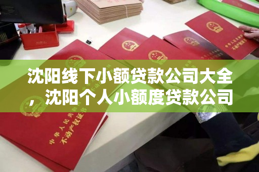 沈阳线下小额贷款公司大全,沈阳个人小额度贷款公司电话 沈阳线下小额贷款公司大全,沈阳个人小额度贷款公司电话