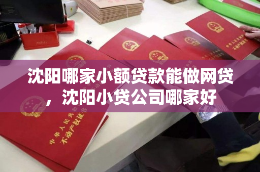 沈阳哪家小额贷款能做网贷,沈阳小贷公司哪家好 沈阳哪家小额贷款能做网贷,沈阳小贷公司哪家好