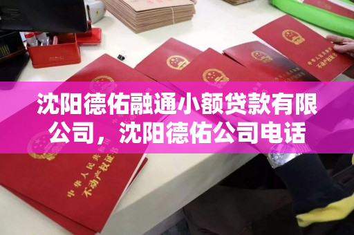 沈阳德佑融通小额贷款有限公司,沈阳德佑公司电话 沈阳德佑融通小额贷款有限公司,沈阳德佑公司电话